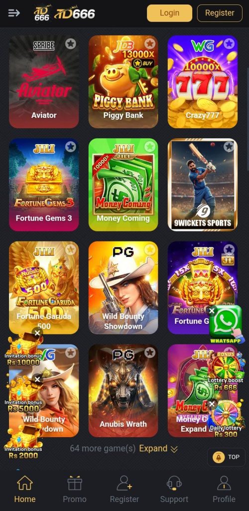 TD666 Game